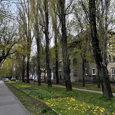 Near Mvm Dome 公寓 布达佩斯