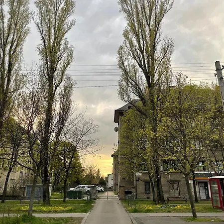 Near Mvm Dome 公寓 布达佩斯